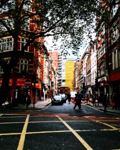 low angle photo of green trees beside buildings photo