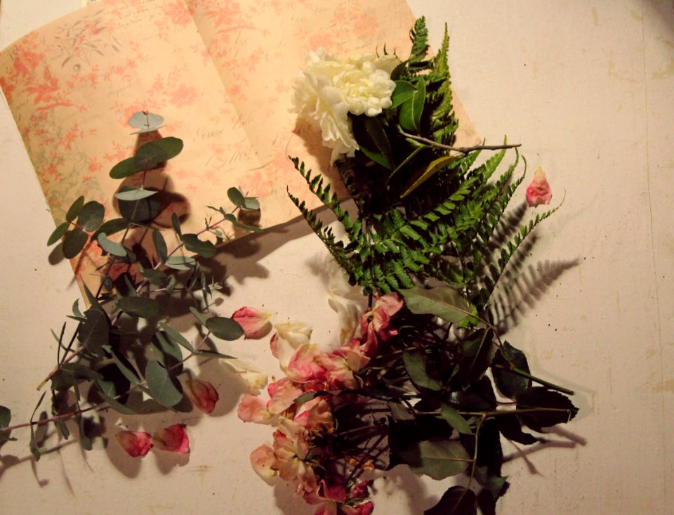Craft, Project, Background