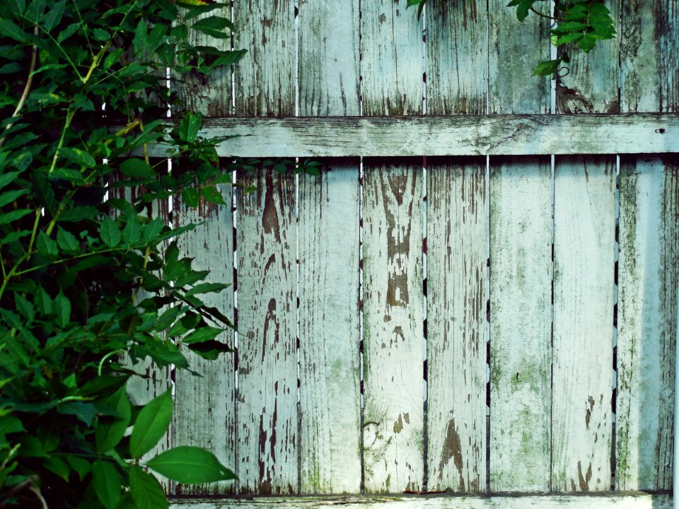 White, Fence panel, Old