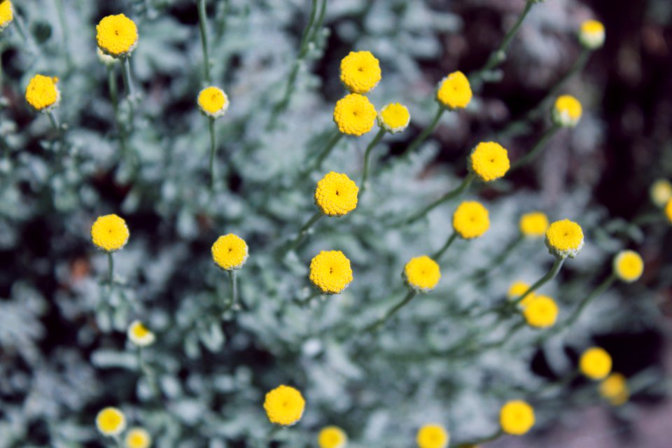 Contrast, Color, Spring