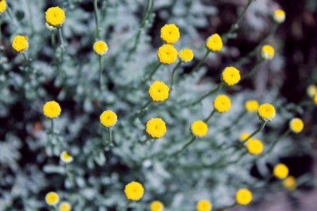 Contrast, Color, Spring