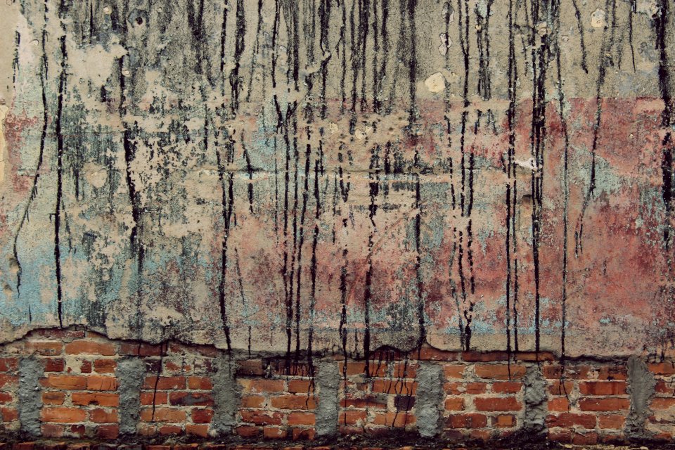 Lichen, Tar, Exposed
