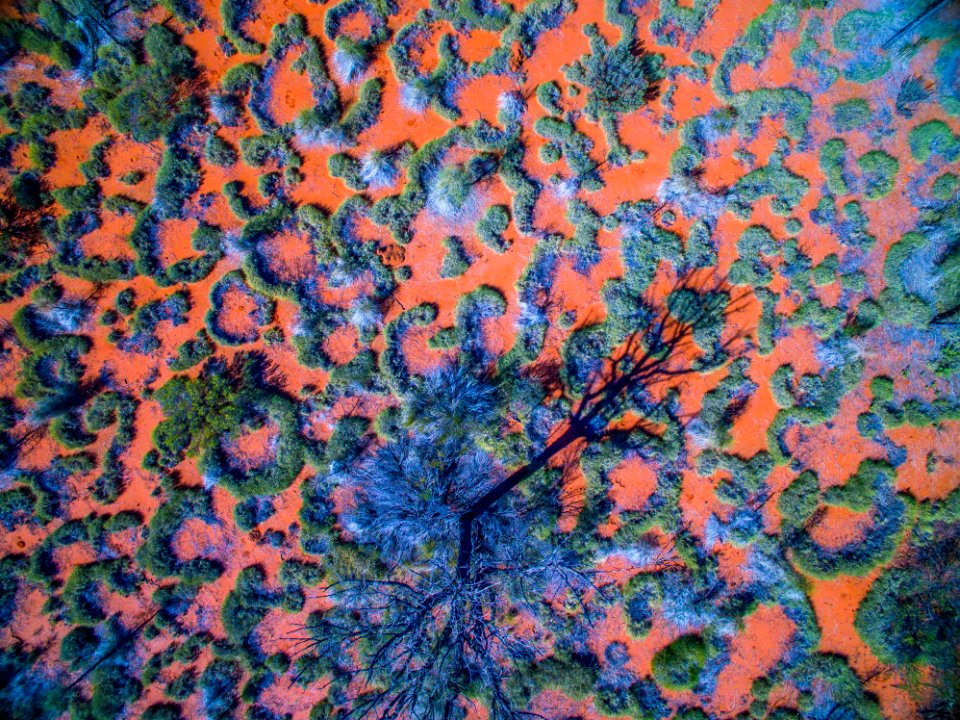 Dirt, Orange, Pattern