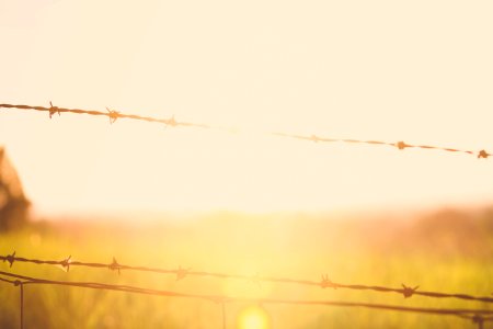 Sunset, Wire, Glow