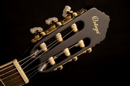 Acoustic guitar classical guitar ortega photo