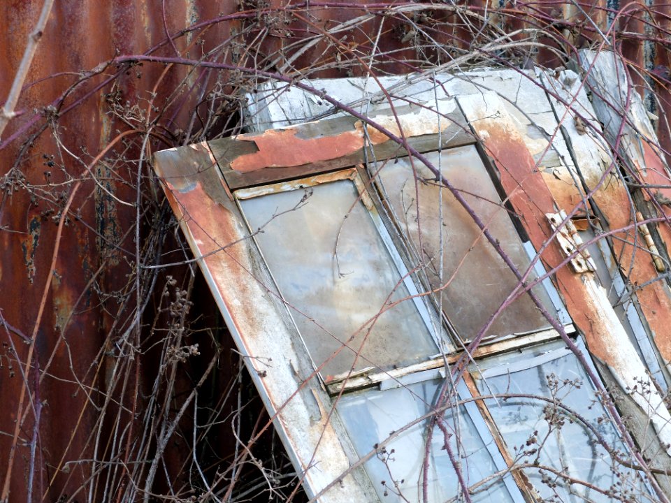Leicestershire, Glass, Bramble