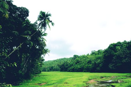 Farm, Trail, Lost
