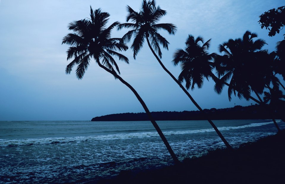 Cold, Tropical, Moody