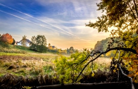 Orzesze, Polska, Branch