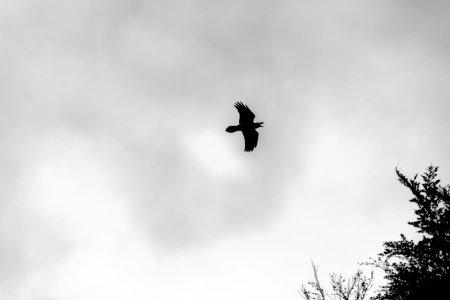 Simple, Sky, Nature