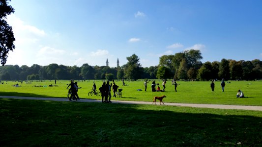 Germany, Munich, Grass