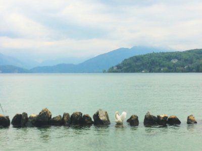 9 avenue dalbigny, 74000 annecy, France