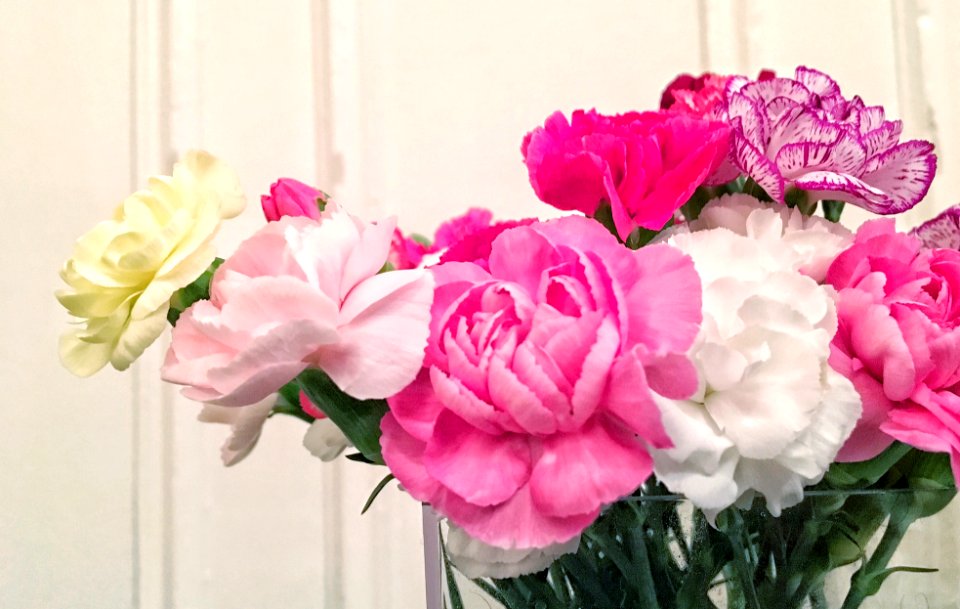 Flowers, Flower, White