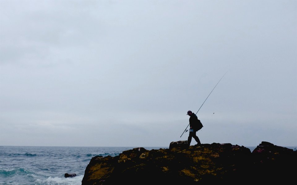 Man, Beach, Fisherman