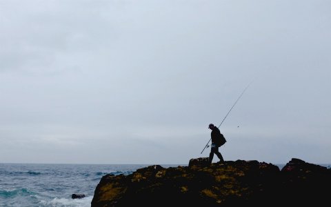 Man, Beach, Fisherman