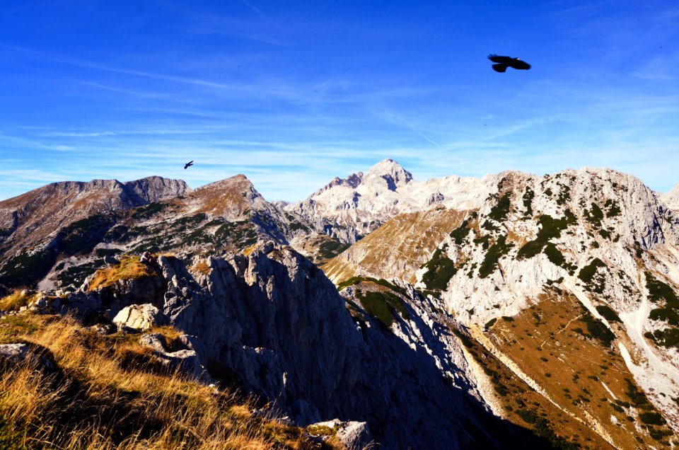 Mountain, Eagle, Grass