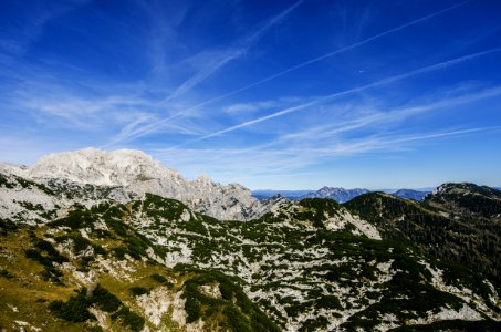 bird's eye view of forest and snow mountain photo