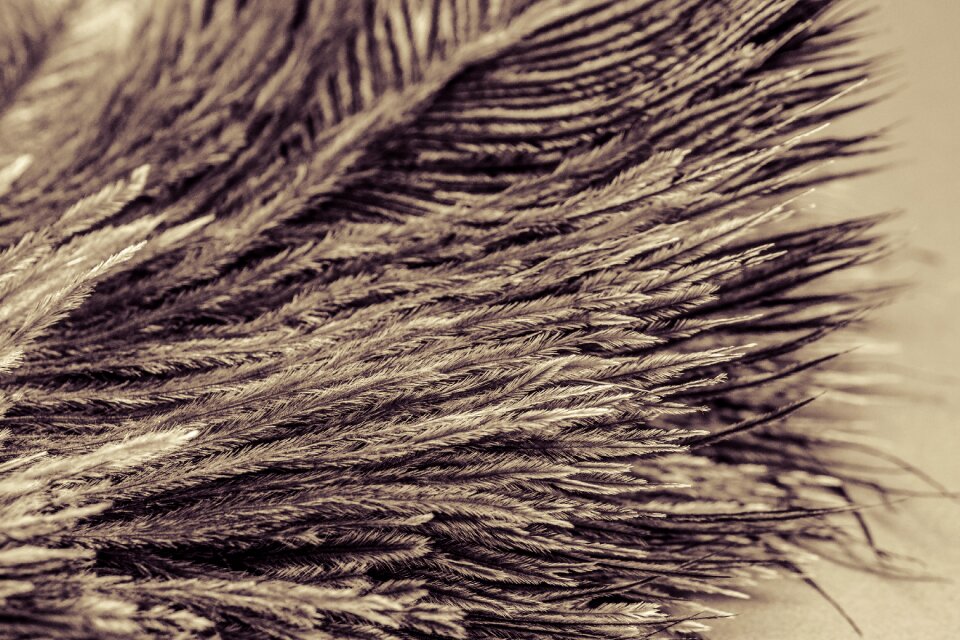 Featherweight lightweight macro