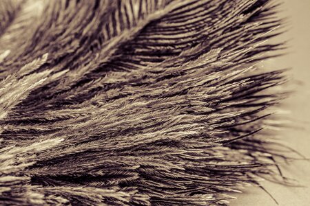 Featherweight lightweight macro