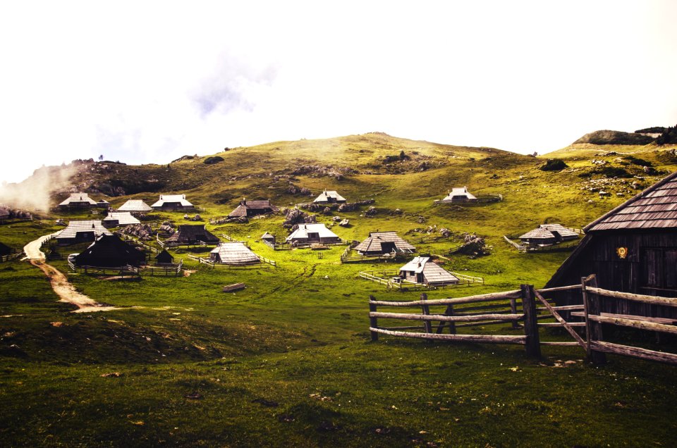 houses in green grass field