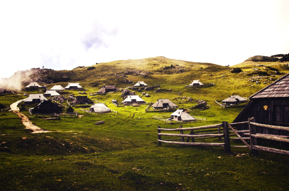 houses in green grass field photo