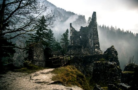 ruins near trees with fogs during daytime photo