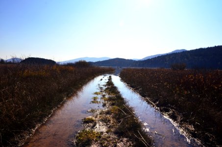 wet trail photo