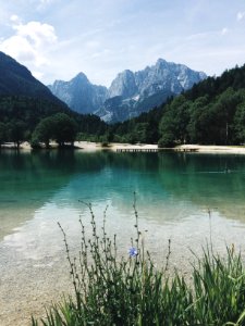 calm body of water surrounded with trees and mountain photo