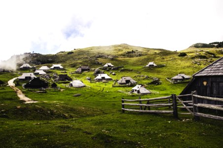 green grass field and tents