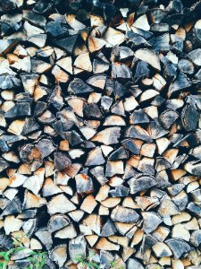 pile of cut woods photo