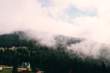 mountains covered with trees with fogs under cloudy skies photo