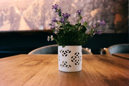 purple petaled flowers in white flower vase located on brown wooden table photo
