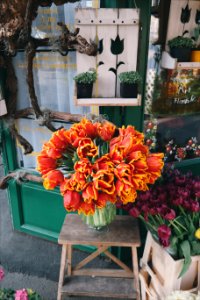 Flower shop, Tulips, Flowers