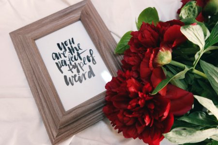 Flowers with framed art that reads "You are the perfect type of weird." photo