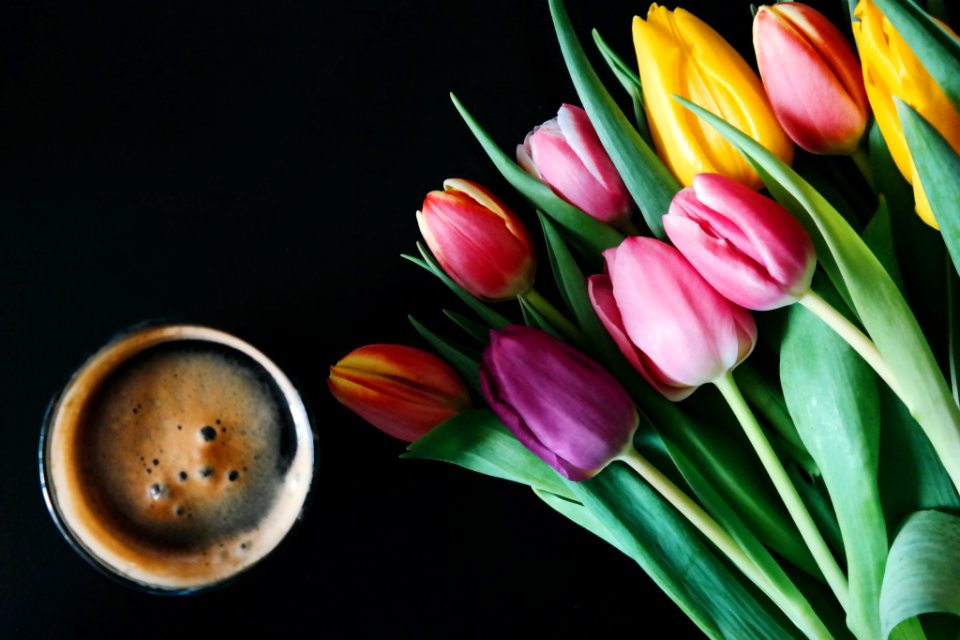 Black table, Tulips, Coffee