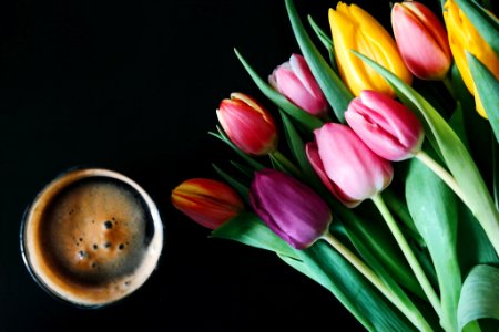 Black table, Tulips, Coffee