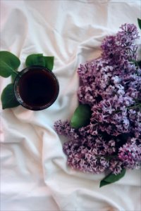 Purple flowers, Black coffee, White photo