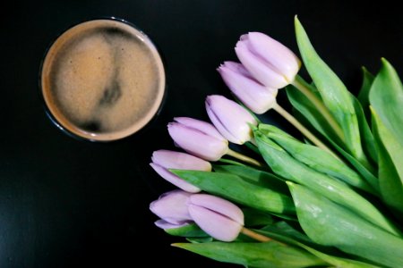 Black table, Black coffee, Tulips