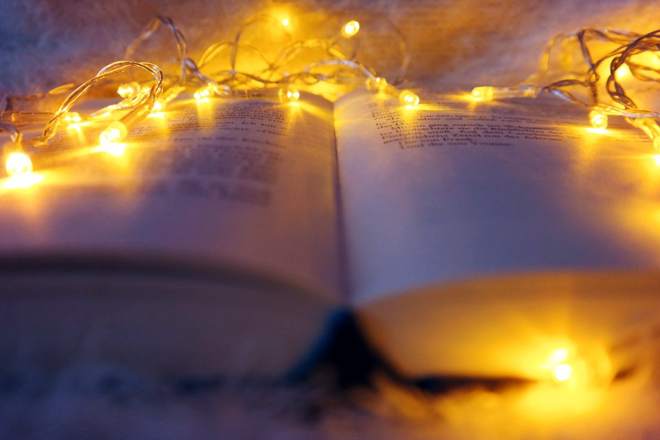 Warm, Christmas lights, Cozy