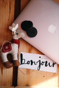 Laptop, Oreo, Computer