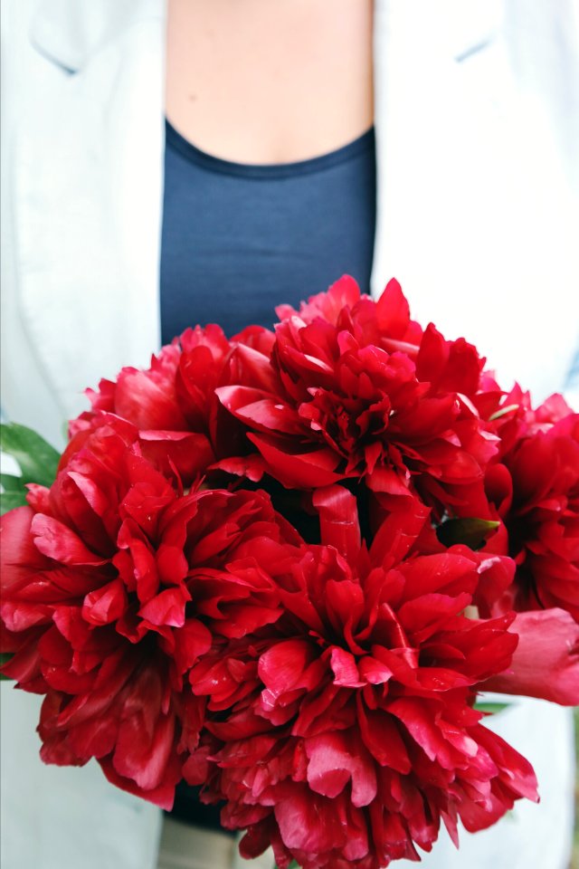 bouquet of red flowers