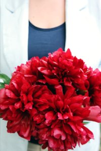bouquet of red flowers photo