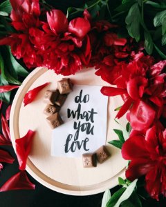 A note on a piece of paper on top of a plate next to red flowers that reads "Do what you love." photo