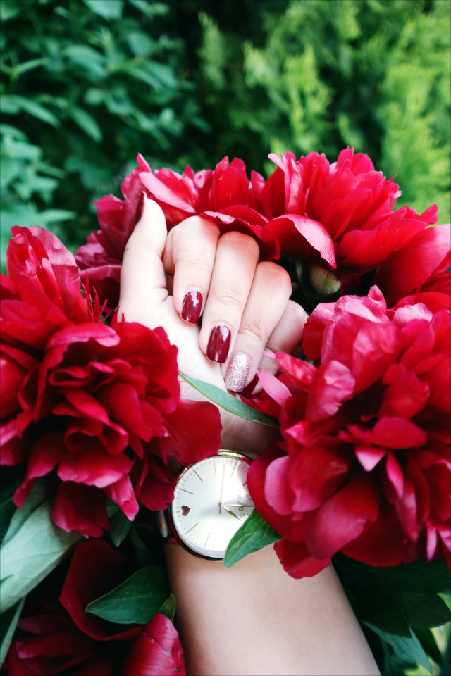 Red, Peonies bouquet, Red nails