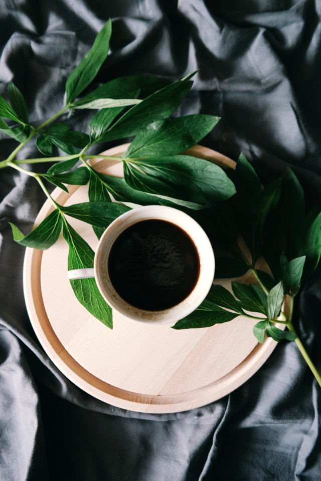 white ceramic mug beside green leaves photo