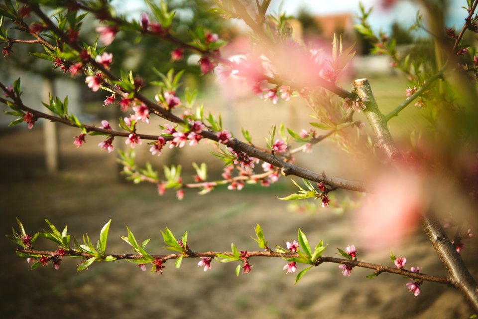 Kisvrda, Hungary, Spring