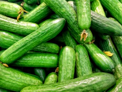 cucumber lot