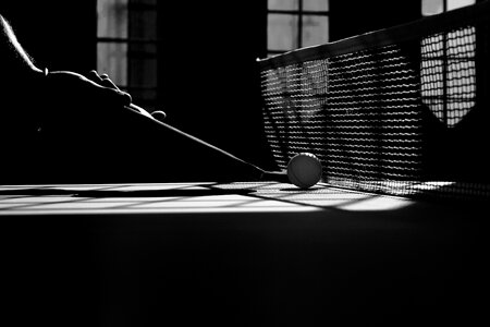 Racket activity ball