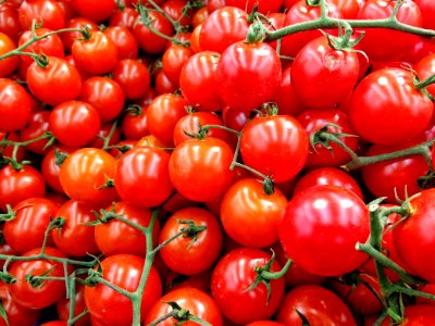 Food, Tomato