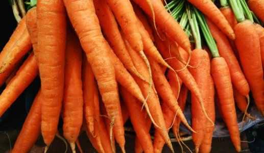 closeup photo of bunch of orange carrots photo